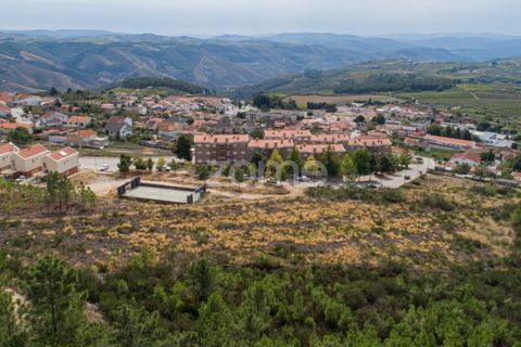 Terra a Sabrosa, Vila Real, Sabrosa - € 580.000 | Ref: ZMPT554109 - foto 19