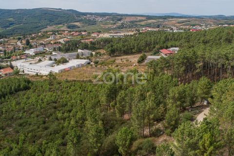 Terra a Sabrosa, Vila Real, Sabrosa - € 580.000 | Ref: ZMPT554109 - foto 20