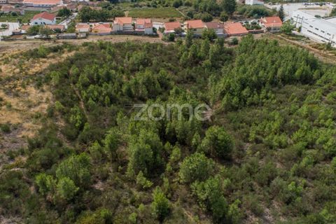 Terra a Sabrosa, Vila Real, Sabrosa - € 580.000 | Ref: ZMPT554109 - foto 21