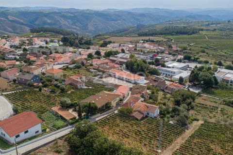 Terra a Sabrosa, Vila Real, Sabrosa - € 580.000 | Ref: ZMPT554109 - foto 22