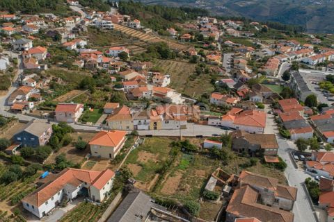 Terra a Sabrosa, Vila Real, Sabrosa - € 580.000 | Ref: ZMPT554109 - foto 23