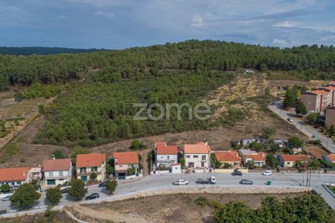 Terra a Sabrosa, Vila Real, Sabrosa - € 580.000 | Ref: ZMPT554109 - foto 24