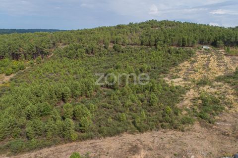 Terra a Sabrosa, Vila Real, Sabrosa - € 580.000 | Ref: ZMPT554109 - foto 25