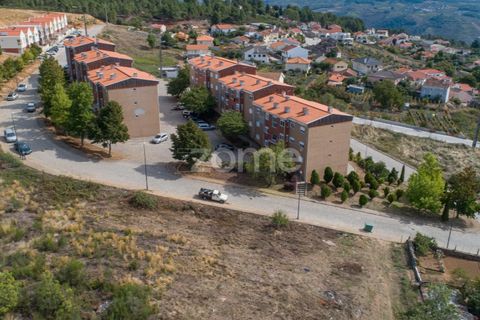 Terra a Sabrosa, Vila Real, Sabrosa - € 580.000 | Ref: ZMPT554109 - foto 26