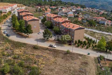 Terra a Sabrosa, Vila Real, Sabrosa - € 580.000 | Ref: ZMPT554109 - foto 27