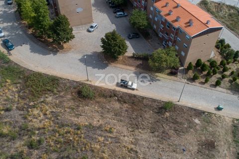 Terra a Sabrosa, Vila Real, Sabrosa - € 580.000 | Ref: ZMPT554109 - foto 28