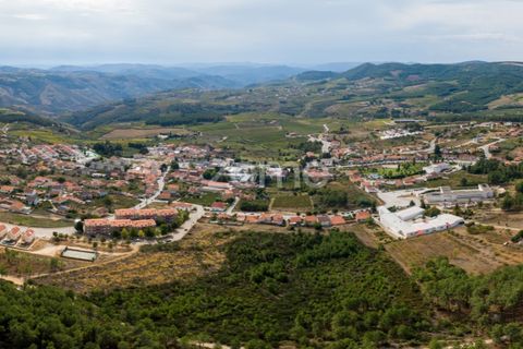 Terra a Sabrosa, Vila Real, Sabrosa - € 580.000 | Ref: ZMPT554109 - foto 29