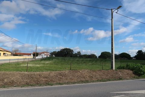 Helårsgrund i Quinta do Anjo, Setubal, Quinta do Anjo - € 1.596.000 | Ref: 2022139 - foto 3