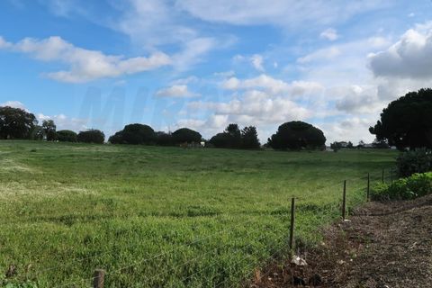 Helårsgrund i Quinta do Anjo, Setubal, Quinta do Anjo - € 1.596.000 | Ref: 2022139 - foto 4