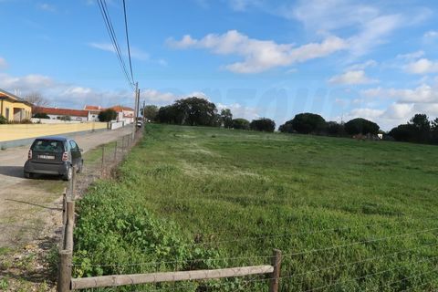 Helårsgrund i Quinta do Anjo, Setubal, Quinta do Anjo - € 1.596.000 | Ref: 2022139 - foto 5