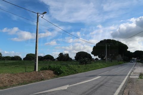 Helårsgrund i Quinta do Anjo, Setubal, Quinta do Anjo - € 1.596.000 | Ref: 2022139 - foto 6