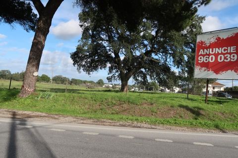 Helårsgrund i Quinta do Anjo, Setubal, Quinta do Anjo - € 1.596.000 | Ref: 2022139 - foto 7