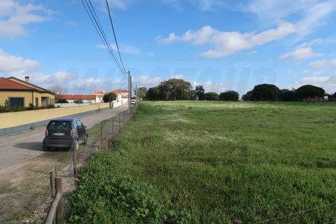 Helårsgrund i Quinta do Anjo, Setubal, Quinta do Anjo - € 1.596.000 | Ref: 2022139 - foto 8