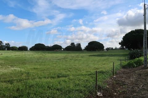 Helårsgrund i Quinta do Anjo, Setubal, Quinta do Anjo - € 1.596.000 | Ref: 2022139 - foto 9
