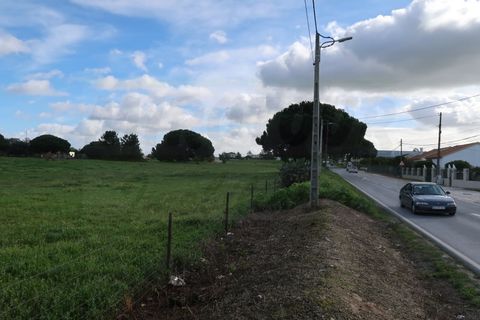 Helårsgrund i Quinta do Anjo, Setubal, Quinta do Anjo - € 1.596.000 | Ref: 2022139 - foto 10