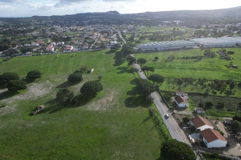 Helårsgrund i Quinta do Anjo, Setubal, Quinta do Anjo - € 1.596.000 | Ref: 2022139 - foto 11