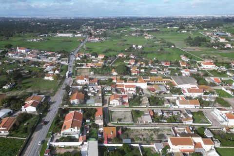 Helårsgrund i Quinta do Anjo, Setubal, Quinta do Anjo - € 1.596.000 | Ref: 2022139 - foto 14