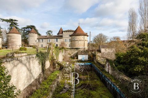 Landejendom i Lectoure, Gers, Lectoure - € 3.760.000 | Ref: M1171 - foto 6