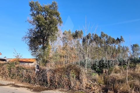 Helårsgrund i Agueda, Aveiro, Agueda - € 195.000 | Ref: 1011347/21 GL - foto 2