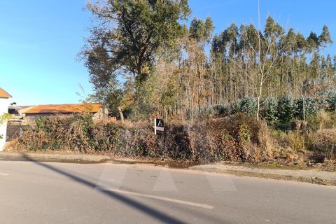 Helårsgrund i Agueda, Aveiro, Agueda - € 195.000 | Ref: 1011347/21 GL - foto 4