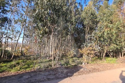 Helårsgrund i Agueda, Aveiro, Agueda - € 195.000 | Ref: 1011347/21 GL - foto 6