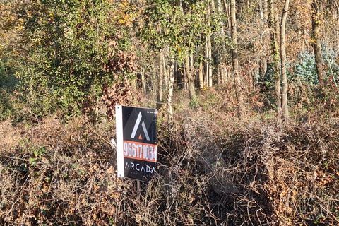Helårsgrund i Agueda, Aveiro, Agueda - € 195.000 | Ref: 1011347/21 GL - foto 7