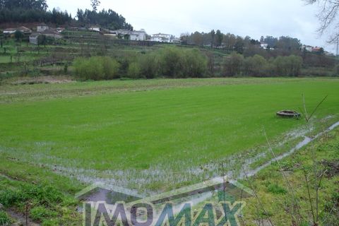 Helårsgrund i Amarante, Porto, Amarante - € 35.000 | Ref: 2016-039 - foto 2