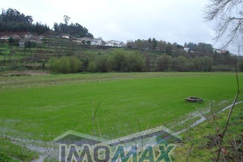 Helårsgrund i Amarante, Porto, Amarante - € 35.000 | Ref: 2016-039 - foto 6