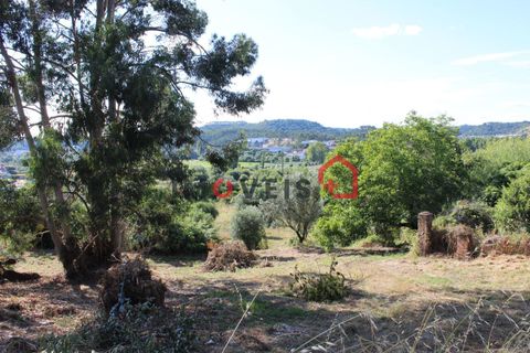 Helårsgrund i Ourem, Santarem, Ourem - € 100.000 | Ref: 00371 - foto 2