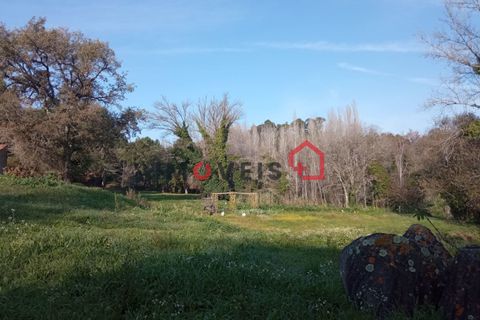 Erhvervsejendom i Ourem, Santarem, Ourem - € 98.000 | Ref: 00537 - foto 12