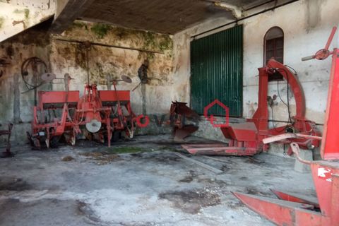 Erhvervsejendom i Ourem, Santarem, Ourem - € 98.000 | Ref: 00537 - foto 15