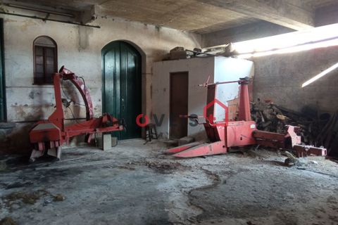 Erhvervsejendom i Ourem, Santarem, Ourem - € 98.000 | Ref: 00537 - foto 16