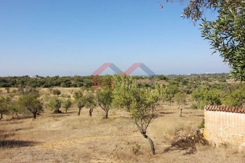 Villa i Algoz, Faro, Algoz - € 997.500 | Ref: 2762M - foto 5