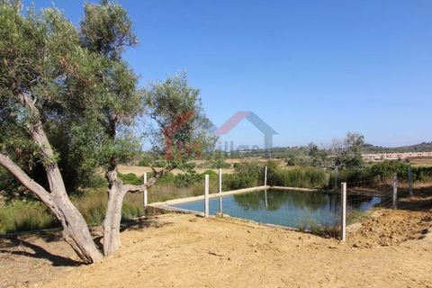 Villa i Algoz, Faro, Algoz - € 997.500 | Ref: 2762M - foto 7