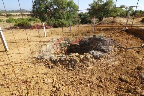 Villa i Algoz, Faro, Algoz - € 997.500 | Ref: 2762M - foto 8