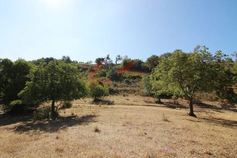 Villa i Algoz, Faro, Algoz - € 997.500 | Ref: 2762M - foto 9