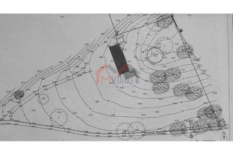 Villa i Algoz, Faro, Algoz - € 997.500 | Ref: 2762M - foto 12