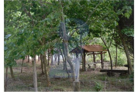 Tomt i Arouca, Aveiro, Arouca - € 150 000 | Ref: TER_616 - foto 3