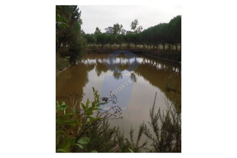 Tomt i Arouca, Aveiro, Arouca - € 150 000 | Ref: TER_616 - foto 4