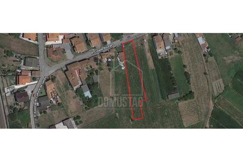 Helårsgrund i Estarreja, Aveiro, Estarreja - € 55.000 | Ref: 1773 - foto 1