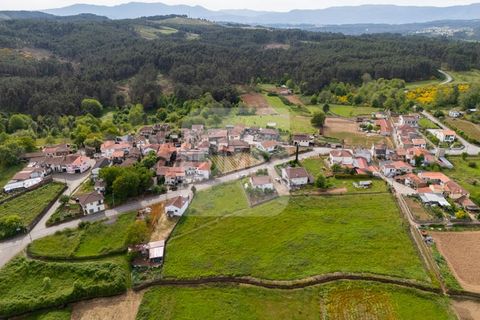 Helårsgrund i Sabrosa, Vila Real, Sabrosa - € 25.000 | Ref: TER_825 - foto 2
