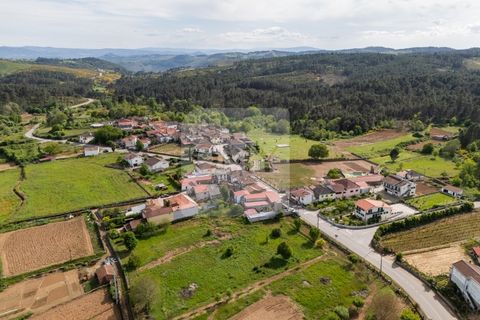 Helårsgrund i Sabrosa, Vila Real, Sabrosa - € 25.000 | Ref: TER_825 - foto 4