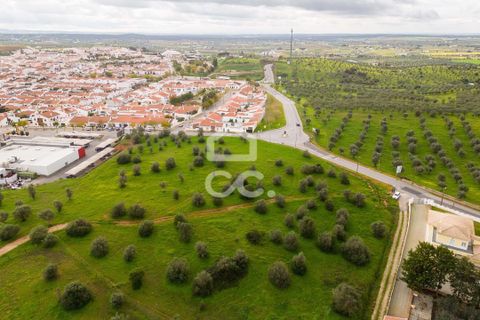 Helårsgrund i Redondo, Evora, Redondo - € 1.200.000 | Ref: 318/T/03048 - foto 2