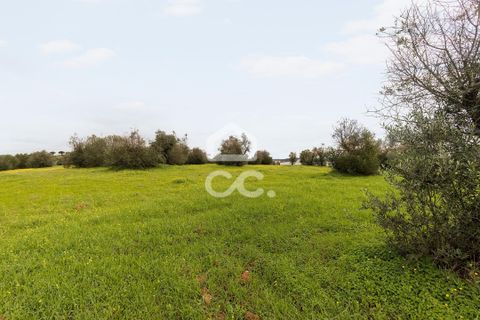 Helårsgrund i Redondo, Evora, Redondo - € 1.200.000 | Ref: 318/T/03048 - foto 10