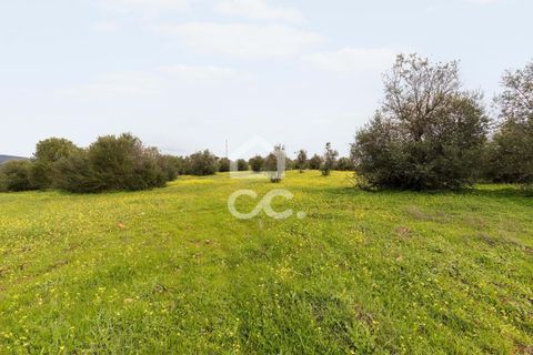 Helårsgrund i Redondo, Evora, Redondo - € 1.200.000 | Ref: 318/T/03048 - foto 11
