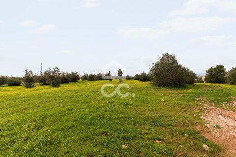 Helårsgrund i Redondo, Evora, Redondo - € 1.200.000 | Ref: 318/T/03048 - foto 17