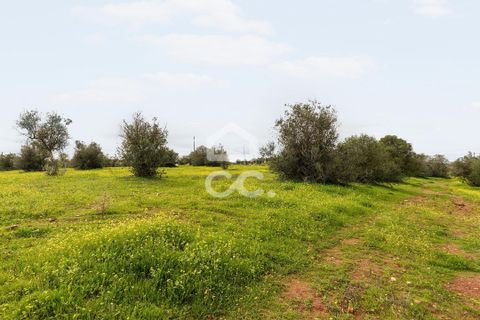 Helårsgrund i Redondo, Evora, Redondo - € 1.200.000 | Ref: 318/T/03048 - foto 18