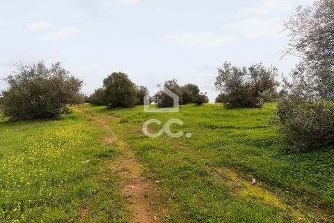Helårsgrund i Redondo, Evora, Redondo - € 1.200.000 | Ref: 318/T/03048 - foto 19