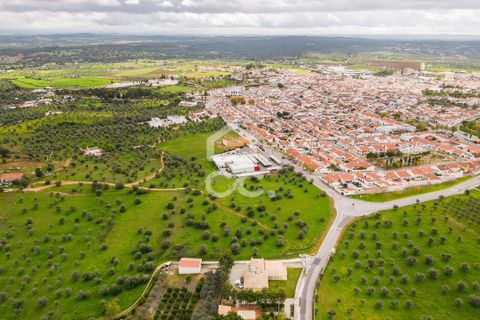 Helårsgrund i Redondo, Evora, Redondo - € 1.200.000 | Ref: 318/T/03048 - foto 21