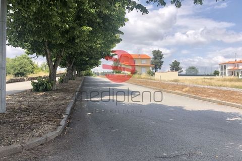Terra a Moimenta da Beira, Viseu, Moimenta da Beira - € 35.000 | Ref: 1439 - foto 2